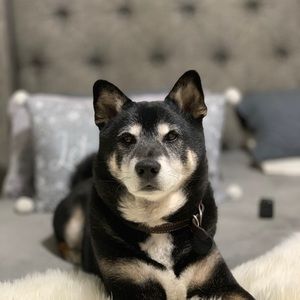 Meet your Posher, Julio